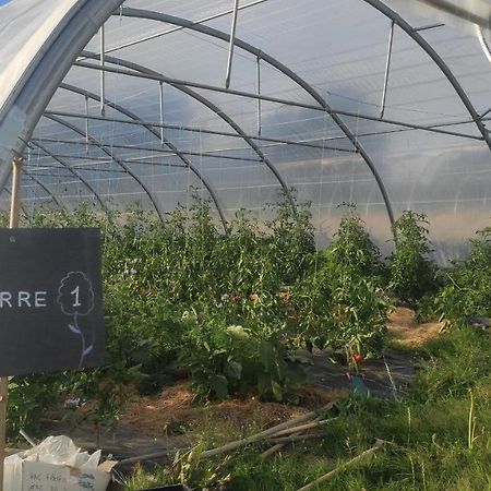 Eco-Gite A La Ferme D'Elles Saint-Andre-de-l'Epine Kültér fotó