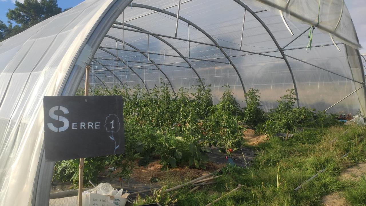 Eco-Gite A La Ferme D'Elles Saint-Andre-de-l'Epine Kültér fotó